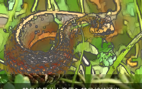 梦见蛇是什么意思？梦见蛇的涵义