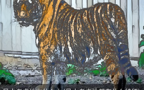 风水老虎地出什么人(风水老虎地都有什么特征)