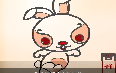 哪些属相的人是吃货