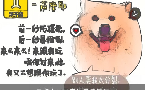 盘点十二星座的暴脾气？