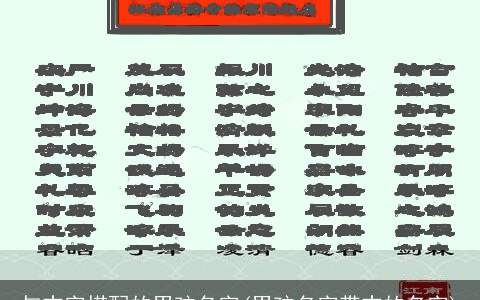 与志字搭配的男孩名字(男孩名字带志的名字)