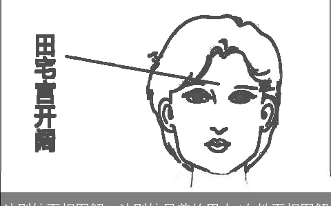 法则纹面相图解、法则纹显着的男人/女性面相图解