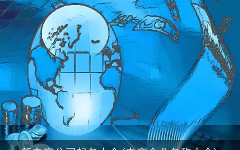 新电商公司起名大全(电商企业名称大全)