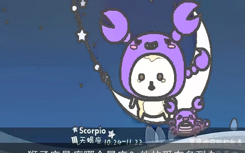 狮子座最疼哪个星座？他的爱有多耐久