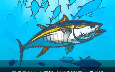 梦见鱼是什么意思 是吉利财富的征兆吗