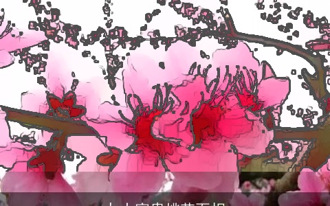 九大富贵桃花面相