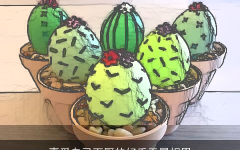 喜爱自己下厨的好手工属相男