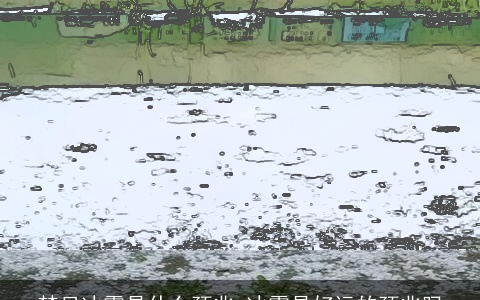 梦见冰雹是什么预兆 冰雹是好运的预兆吗