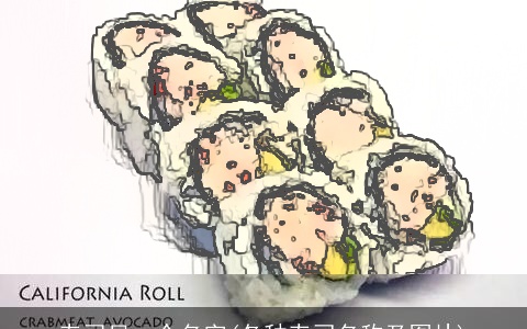 寿司另一个名字(各种寿司名称及图片)