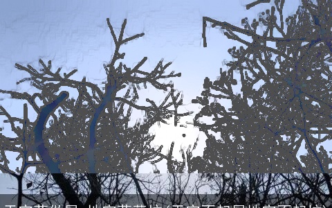 天空莫做屋,地空莫葬坟(天空不起屋地空不起坟)