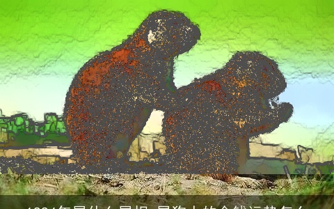 1994年属什么属相 属狗人的金钱运势怎么