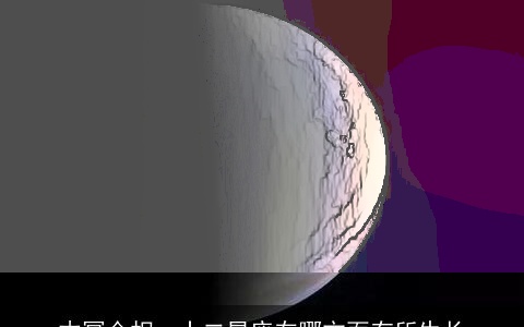 木冥合相，十二星座在哪方面有所生长