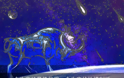 金牛座的最佳伴侣、金牛座的性情剖析