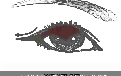 什么样的眼睛是狐狸眼狐狸眼图片精选