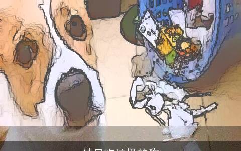 梦见吃垃圾的狗