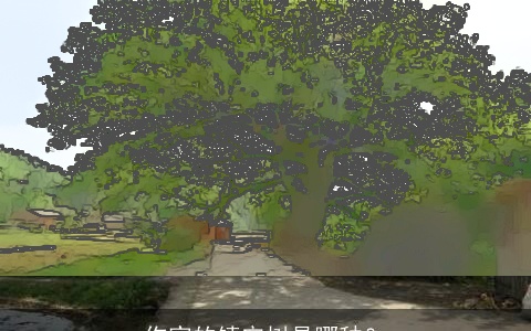 你家的镇宅树是哪种？