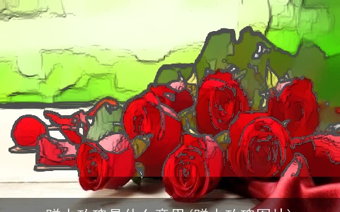 赠人玫瑰是什么意思(赠人玫瑰图片)