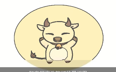 智商超高头脑好的属相男