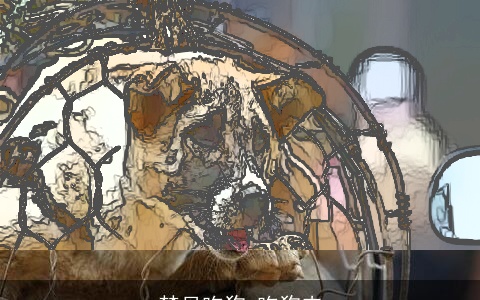 梦见吃狗 吃狗肉