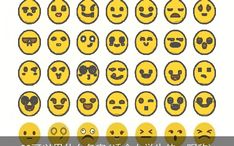 QQ可以用什么名字(适合女学生的qq昵称)