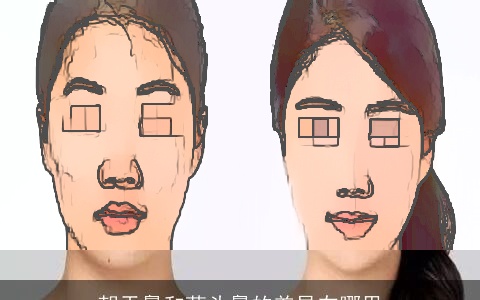 朝天鼻和蒜头鼻的差异在哪里