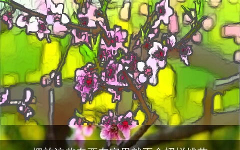 摆放这些东西在家里就不会招烂桃花