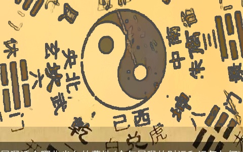 属猴适合哪些坐向的墓地(今年属猴的财运和运气如何)