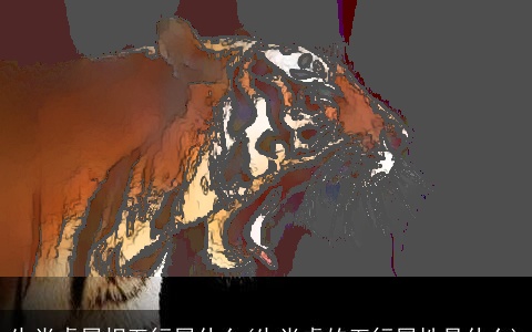 生肖虎属相五行属什么(生肖虎的五行属性是什么)