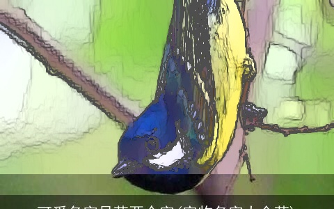 可爱名字呆萌两个字(宠物名字大全萌)