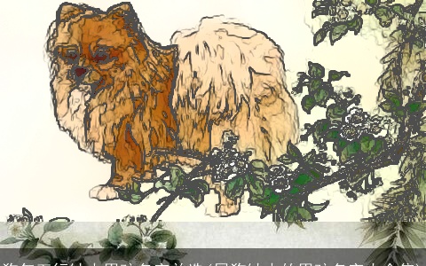 狗年五行缺火男孩名字首选(属狗缺火的男孩名字大全集)