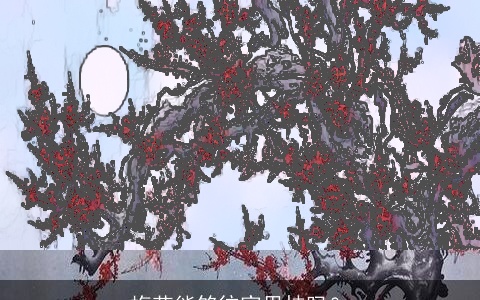 梅花能够往家里挂吗？