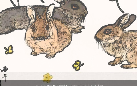 总是和时刻过不去的属相