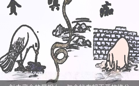 射中藏金的属相女，与金钱有解不开的缘分