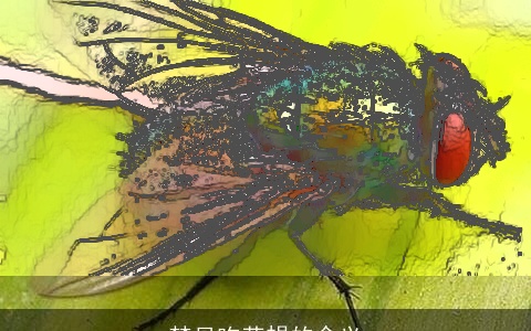 梦见吃苍蝇的含义