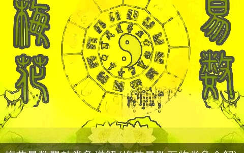 梅花易数巽卦类象详解(梅花易数万物类象全解)