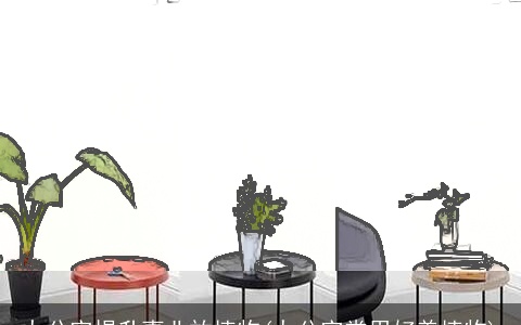 办公室提升事业放植物(办公室常用好养植物)