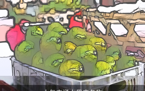 大气内涵水果店名称