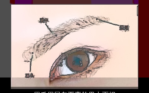 眉毛眉尾向下弯的男人面相