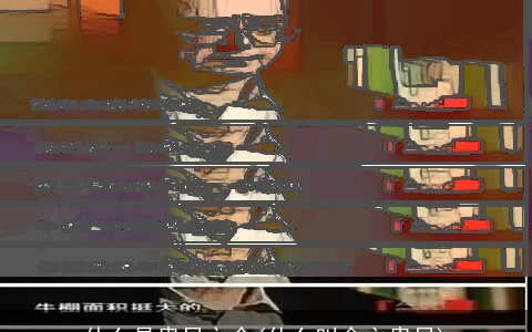 什么是贵显之命(什么叫命主贵显)