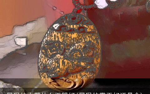 属龙的人戴什么玉器好(属龙的带玉好还是金)