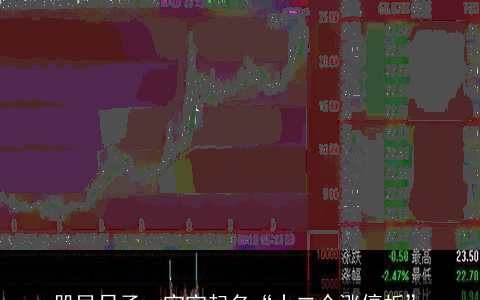 股民日子，宝宝起名“十二个涨停板”