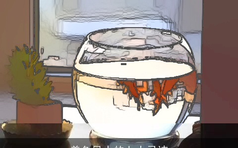 养鱼风水的七大忌讳