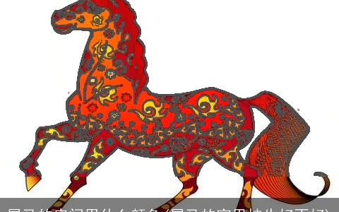 属马的房间用什么颜色(属马的家里挂牛好不好)