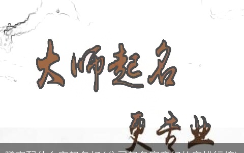 鹏字配什么字起名好(公司起名寓意好的字排行榜)