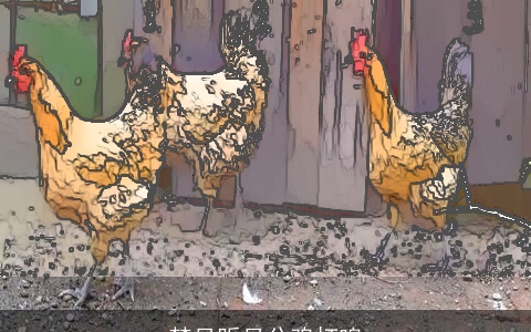 梦见听见公鸡打鸣