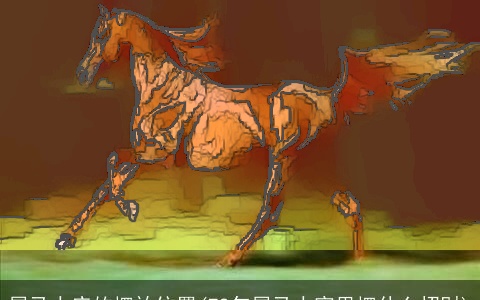 属龙人床的摆放位置(78年属龙人家里摆什么招财)