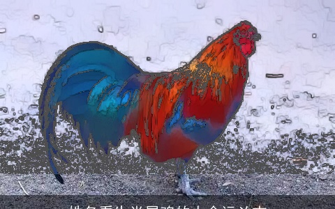 姓名看生肖属鸡的人命运凶吉