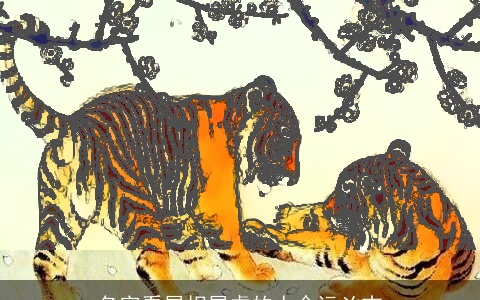 名字看属相属虎的人命运凶吉