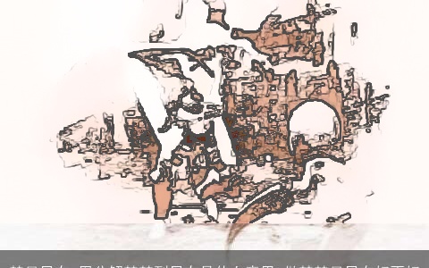 梦见吕布_周公解梦梦到吕布是什么意思_做梦梦见吕布好不好