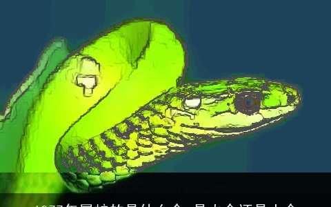 1977年属蛇的是什么命 是火命还是土命